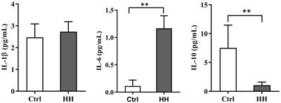 IL-6/STAT3 Induced Neuron Apoptosis in Hypoxia by Downregulating ATF6 Expression